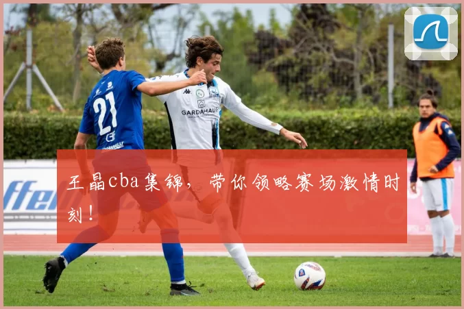 王晶cba集锦，带你领略赛场激情时刻！