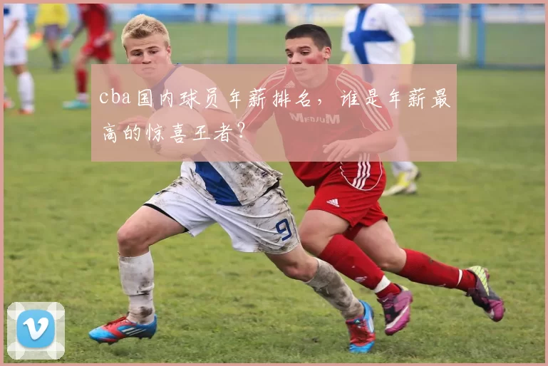 cba国内球员年薪排名，谁是年薪最高的惊喜王者？