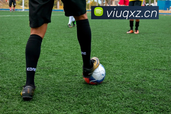 九游官网在线入口平台生态图